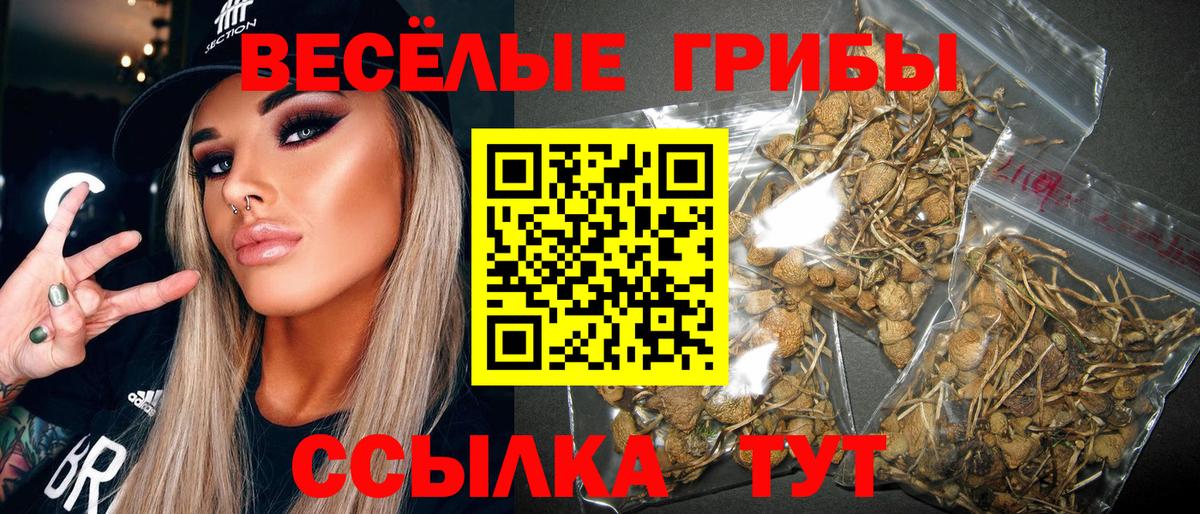 Псилоцибиновые грибы MAGIC MUSHROOMS Новодвинск